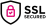 cifrado-ssl-punto-curly.webp